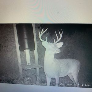 Meet your Posher, Ricky